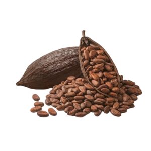 cocoa beans exports