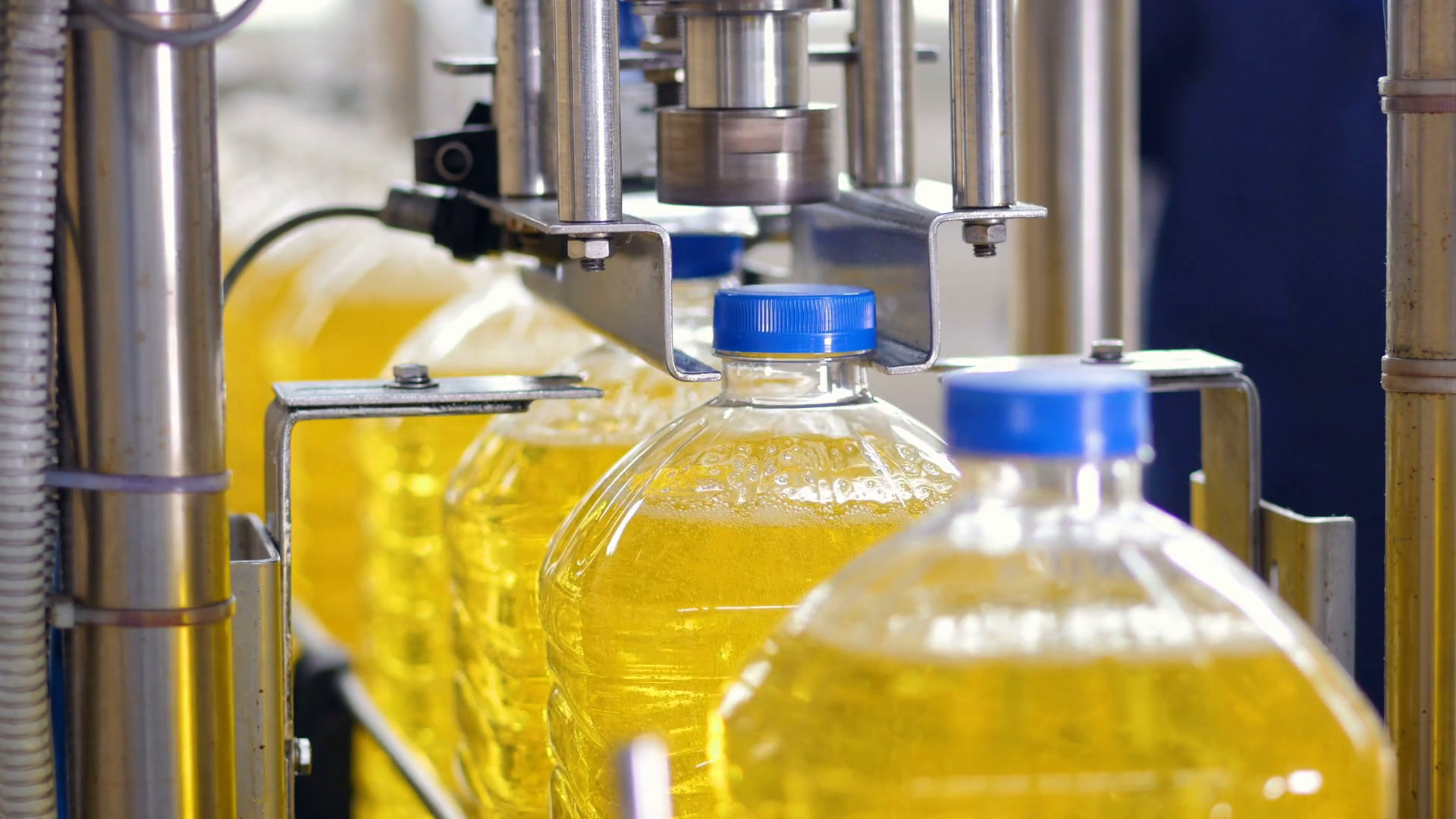 refined palm oil exporter