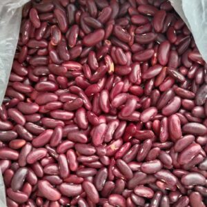 Red Kidney Beans