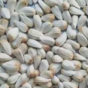 sunflower seeds for sale