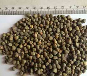 vetch-seeds