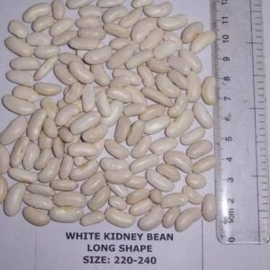 white kidney beans
