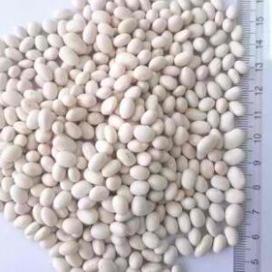 white pea beans