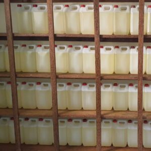 Virgin Coconut Oil (VCO)