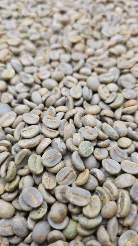 coffee beans grade a