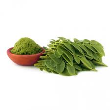 moringa powder
