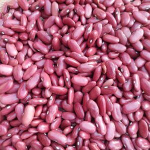 Tanzanian Red Kidney Beans