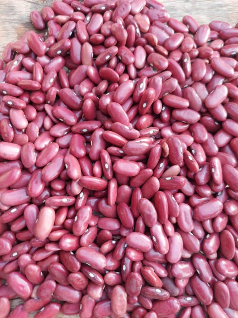 Tanzanian Red Kidney Beans